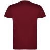 Camiseta infantil manga corta cuello doble - Imagen 72
