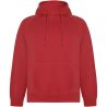 Sudadera capucha unisex algodón orgánico reciclado - Imagen 52