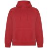 Sudadera capucha unisex algodón orgánico reciclado - Imagen 53