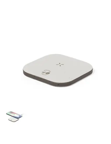 Cargador Personalizado Ecológico 820278