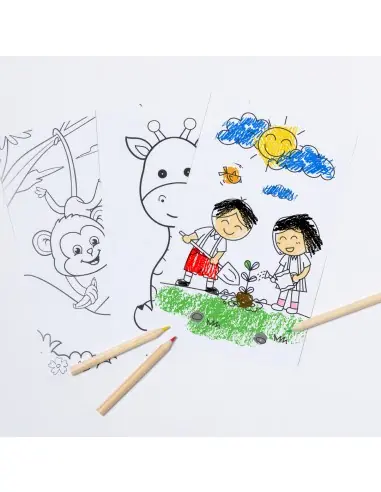 Set Personalizado Ecológico 820368