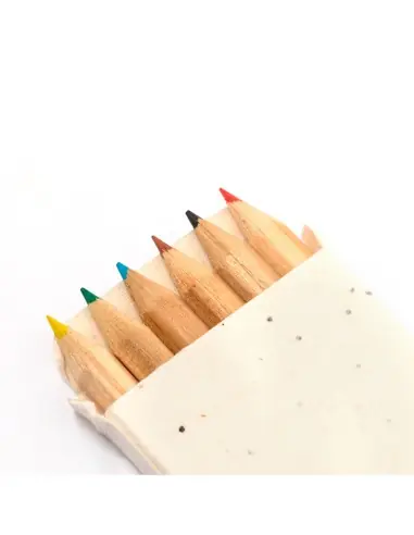 Caja Lápices Semillas Personalizado Ecológico...