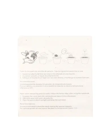 Set Semillas Personalizado Ecológico 820372