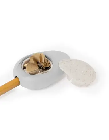 Set Personalizado Ecológico 820377