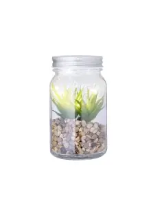 Planta Decorativa Personalizado Ecológico 820608