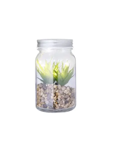 Planta Decorativa Personalizado Ecológico 820608