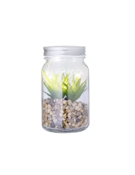 Planta Decorativa Personalizado Ecológico 820608