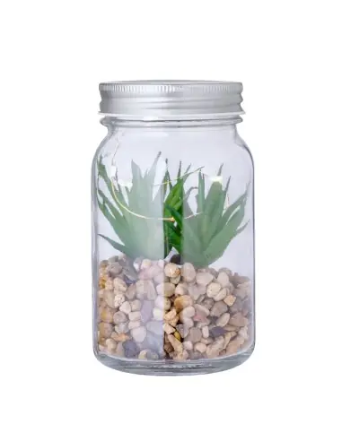 Planta Decorativa Personalizado Ecológico 820608