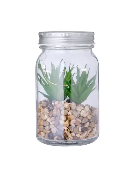 Planta Decorativa Personalizado Ecológico 820608