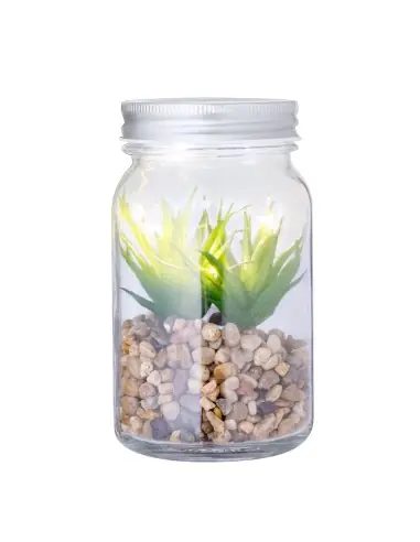 Planta Decorativa Personalizado Ecológico 820608