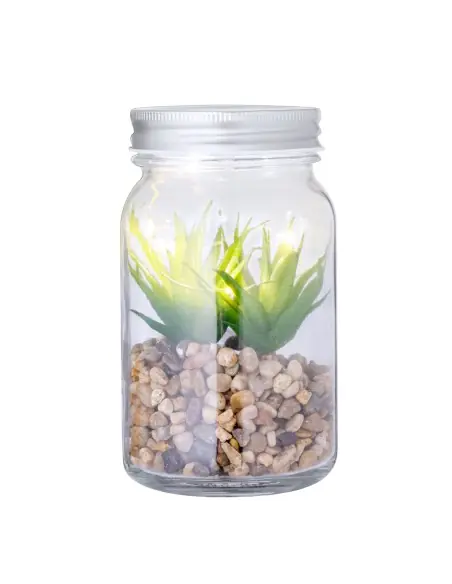 Planta Decorativa Personalizado Ecológico 820608