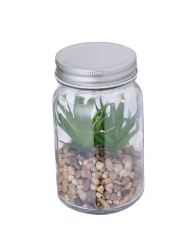 Planta Decorativa Personalizado Ecológico 820608