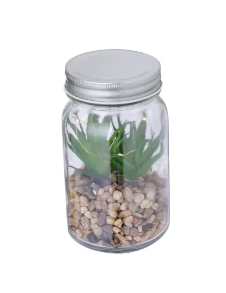 Planta Decorativa Personalizado Ecológico 820608