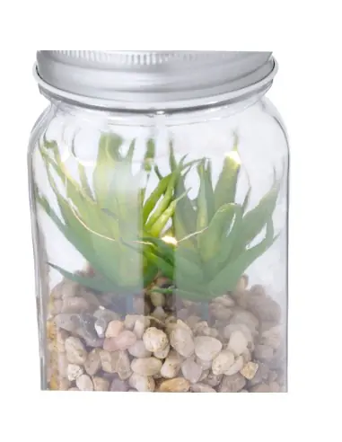 Planta Decorativa Personalizado Ecológico 820608