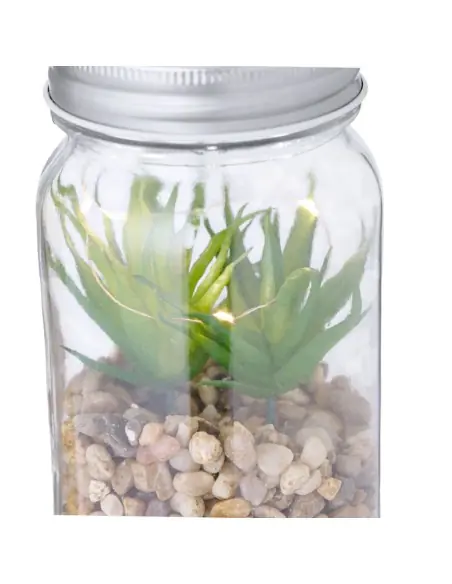 Planta Decorativa Personalizado Ecológico 820608