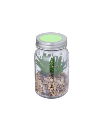 Planta Decorativa Personalizado Ecológico 820608