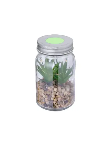Planta Decorativa Personalizado Ecológico 820608
