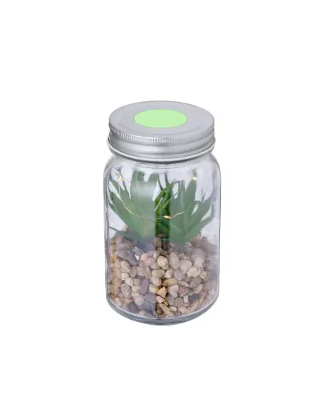 Planta Decorativa Personalizado Ecológico 820608