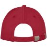Gorra Doyle 5 paneles algodón cepillado 260 g hebilla - Imagen 30