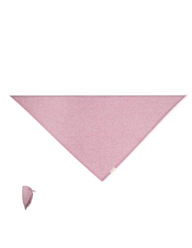 Pañoleta Ecológica Personalizada 820700