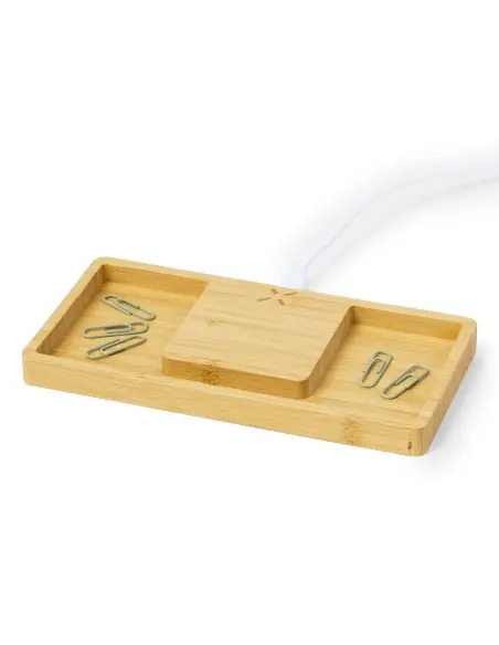 Cargador Organizador Personalizado Ecológico 820861