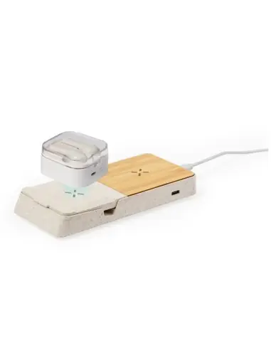 Cargador Personalizado Ecológico 820876