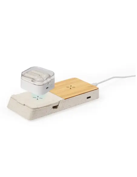 Cargador Personalizado Ecológico 820876