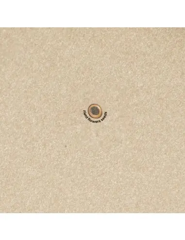 Bloc Notas Semillas Personalizado Ecológico 820952