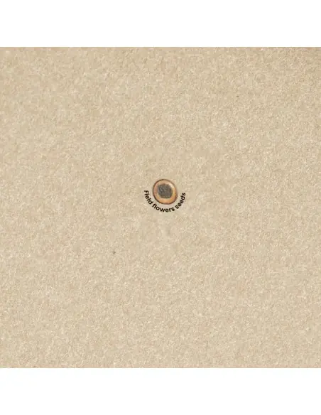 Bloc Notas Semillas Personalizado Ecológico 820952