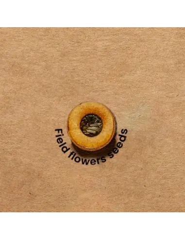 Carpeta Semillas Personalizado Ecológico 820969