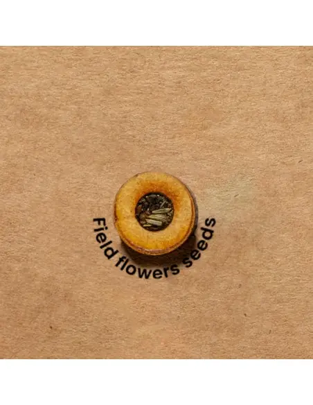 Carpeta Semillas Personalizado Ecológico 820969