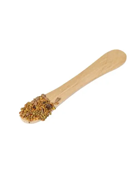 Stick Semillas Personalizado Ecológico 820972