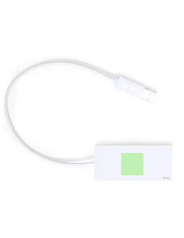 Puerto USB Personalizado Ecológico 821041