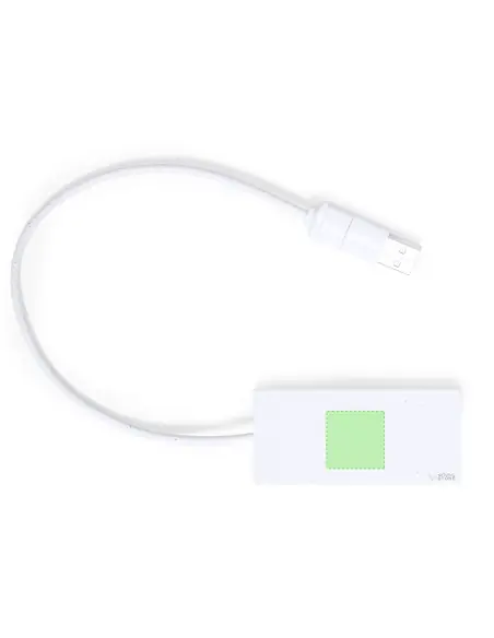 Puerto USB Personalizado Ecológico 821041