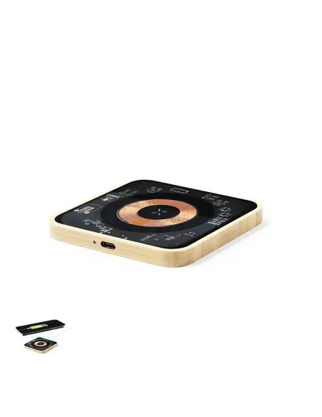 Cargador Personalizado Ecológico 821194