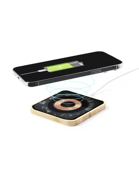 Cargador Personalizado Ecológico 821194