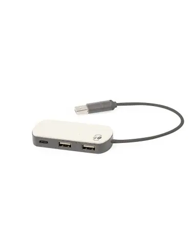 Puerto USB Personalizado Ecológico 821198