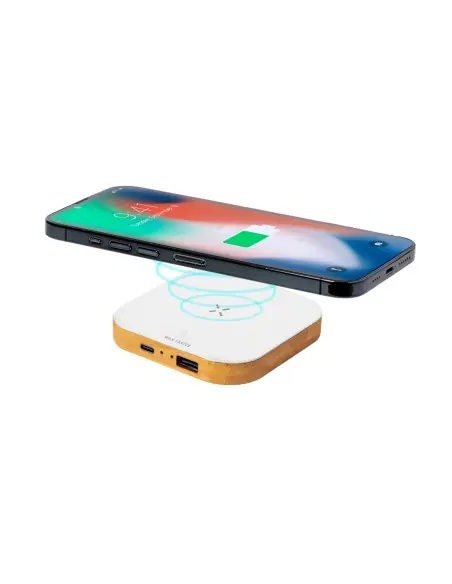 Cargador Personalizado Ecológico 821207