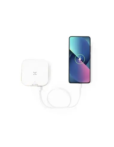 Cargador Personalizado Ecológico 821207