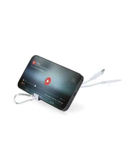 Puerto USB Cargador Personalizado Ecológico 821322