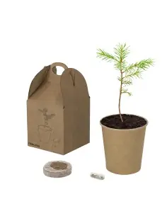 Maceta Personalizado Ecológico 82765