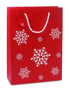 Bolsa de regalo tamaño grande Ecológica Personalizada...