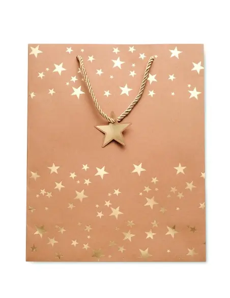 Bolsa de papel de regalo 7CX1497