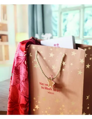 Bolsa de papel de regalo 7CX1497