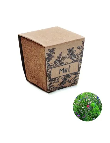 Kit cultivo semillas de menta 7MO2410