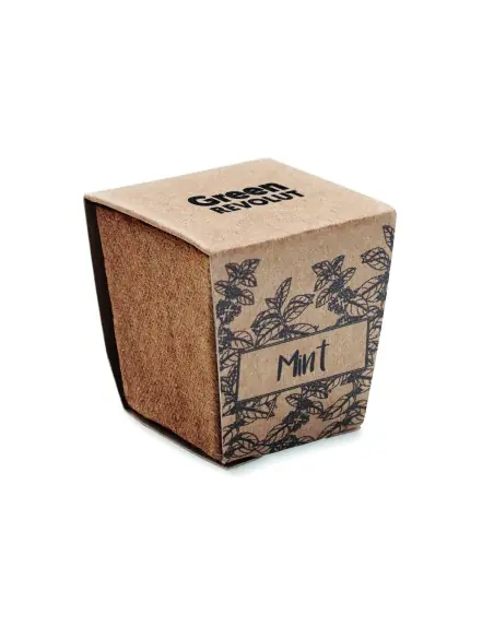 Kit cultivo semillas de menta 7MO2410