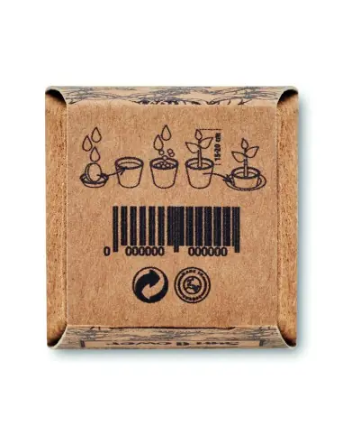 Kit de cultivo de girasoles 7MO2411