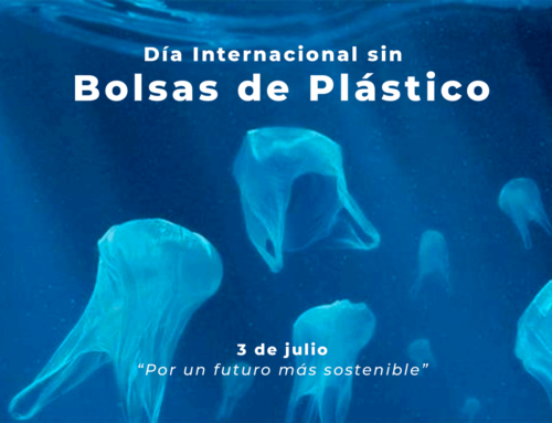 Día internacional sin bolsas de plástico
