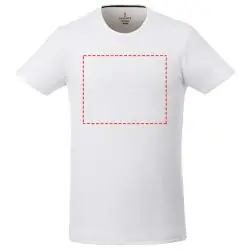 impacto - frontal completo