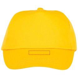visera